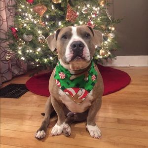 Meet your Posher, Adam